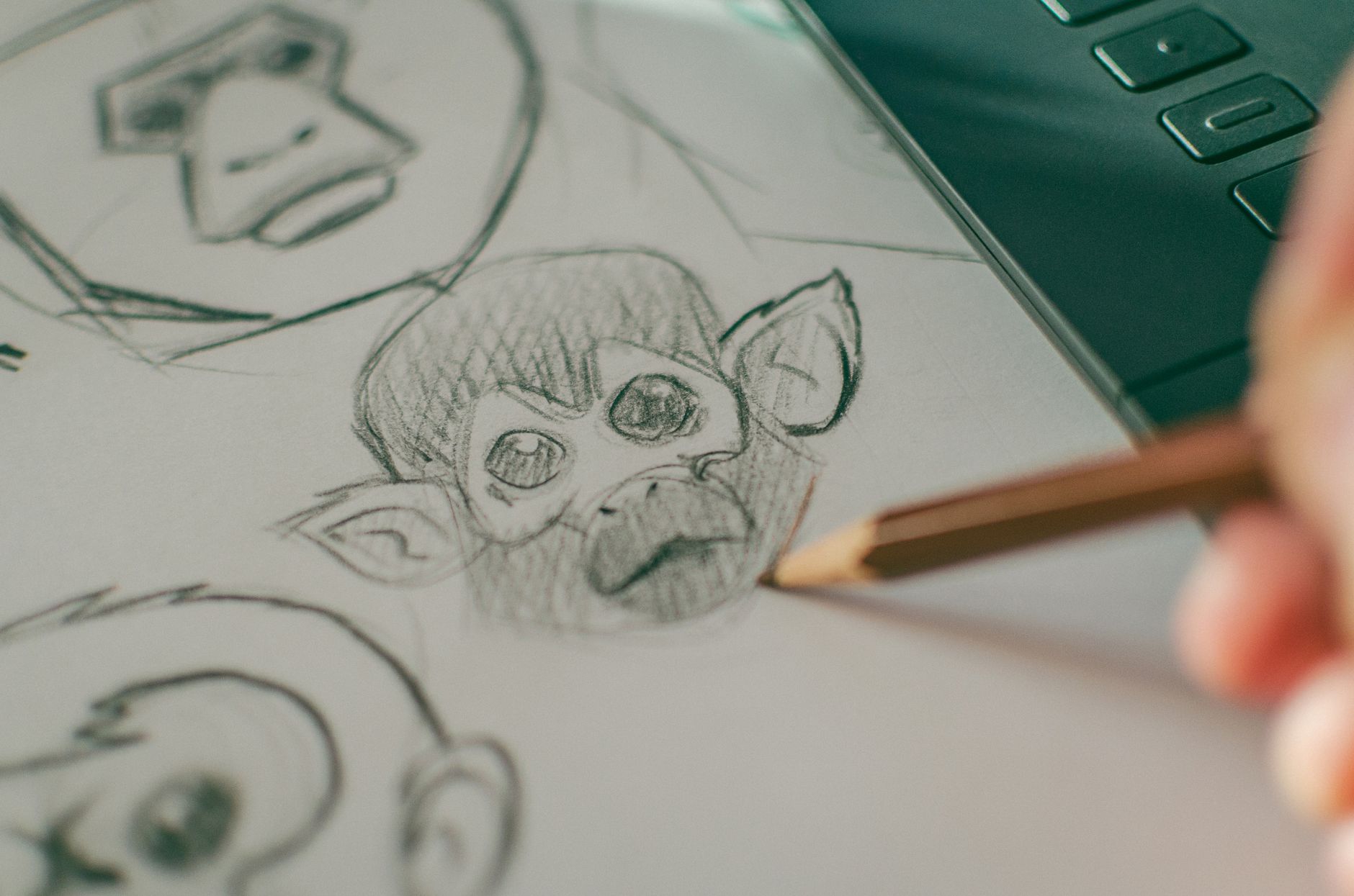 services monkey head sketch